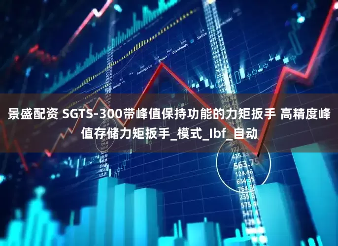 景盛配资 SGTS-300带峰值保持功能的力矩扳手 高精度峰值存储力矩扳手_模式_Ibf_自动
