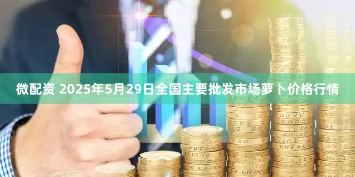 微配资 2025年5月29日全国主要批发市场萝卜价格行情