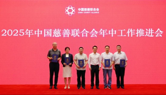 维嘉优配平台 发挥“软法”先行作用，中国慈善联合会标准化工作委员会成立