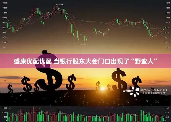 盛康优配优配 当银行股东大会门口出现了“野蛮人”