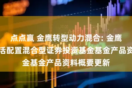 点点赢 金鹰转型动力混合: 金鹰转型动力灵活配置混合型证券投资基金基金产品资料概要更新