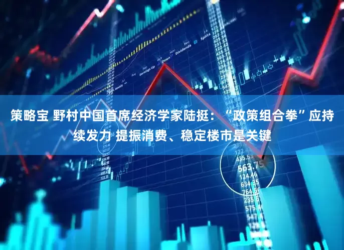 策略宝 野村中国首席经济学家陆挺：“政策组合拳”应持续发力 提振消费、稳定楼市是关键
